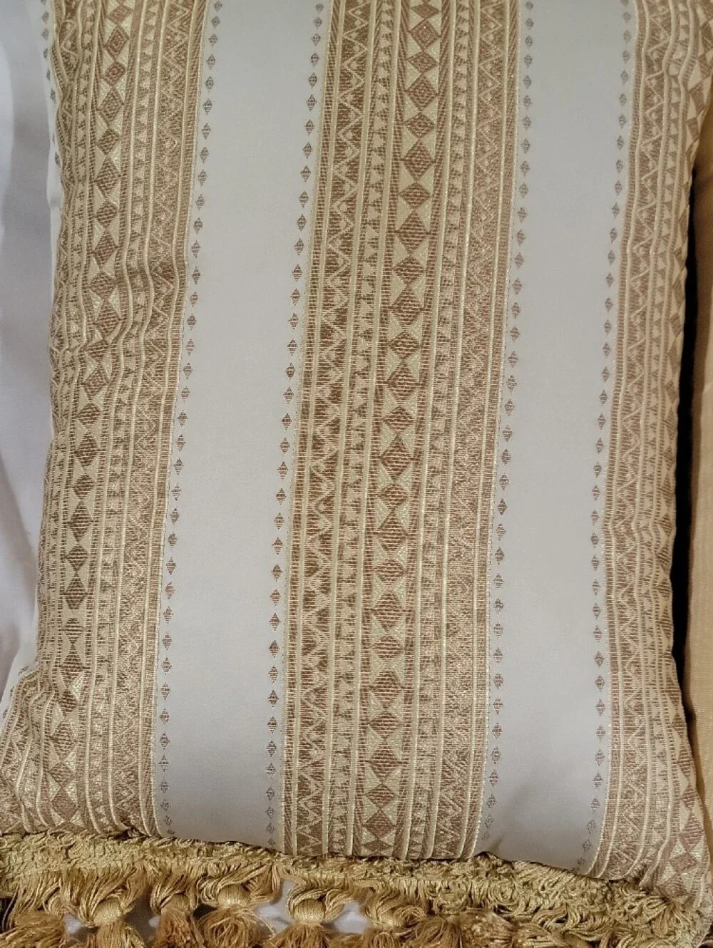Decorative Cream and Gold Fringe Throw Pillow Pair - Unbranded